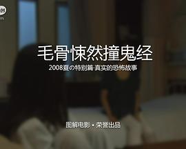 毛骨悚然撞鬼经 2008夏季特别篇