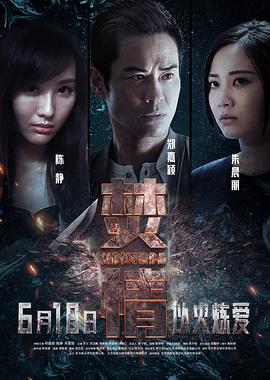 焚情封面图