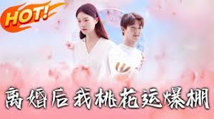 离婚后我桃花运爆棚