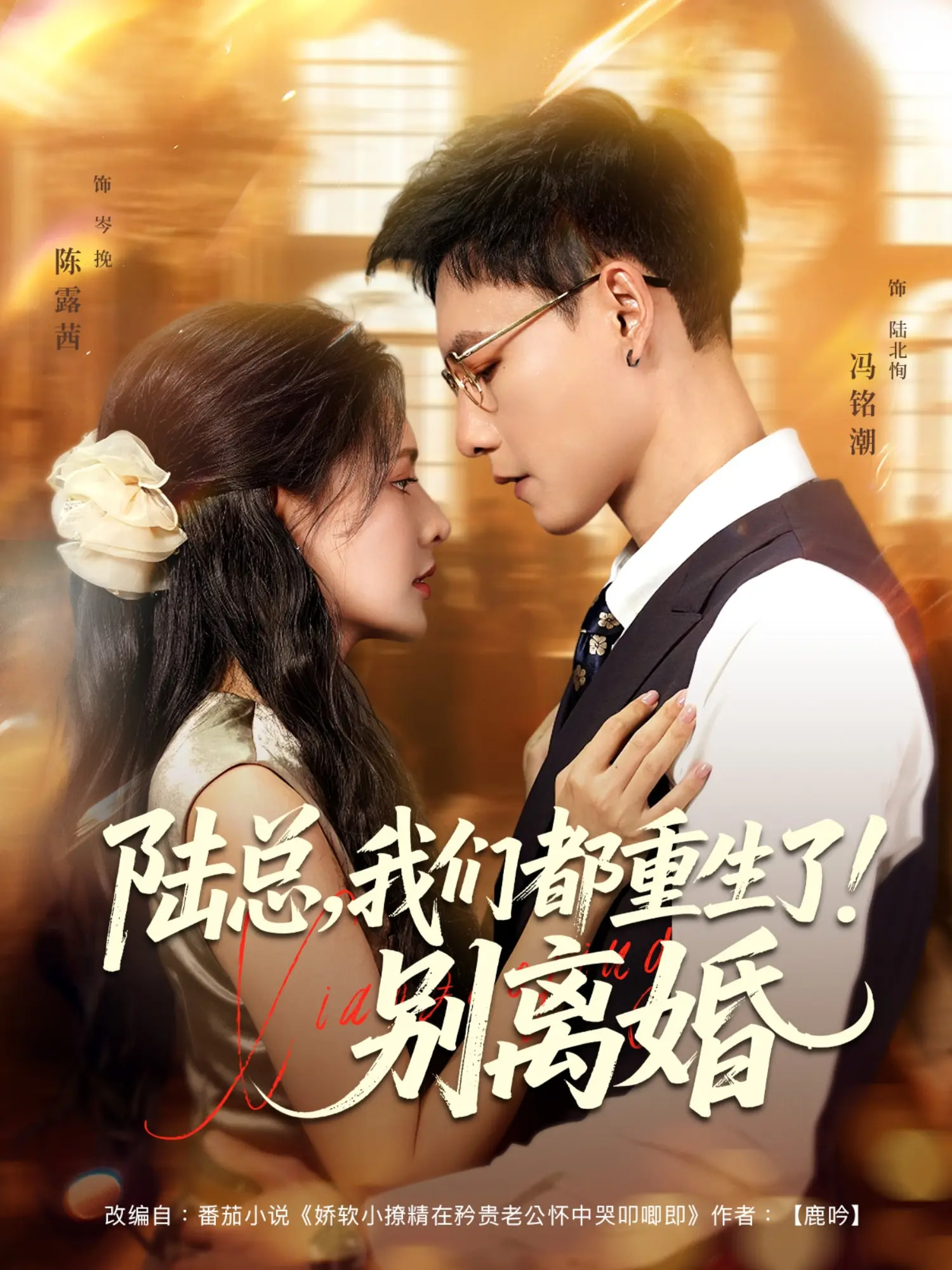 陆总我们都重生了！别离婚
